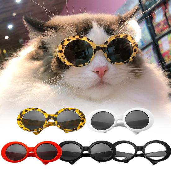 Lunettes Pour chats- élégances et protection