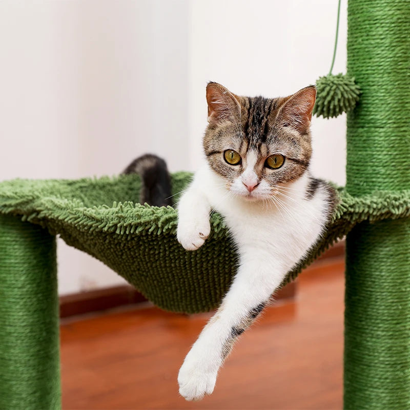 Arbre à Chat Cactus avec Griffoir en Sisal et Hamac Confortable