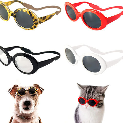 Lunettes Pour chats- élégances et protection