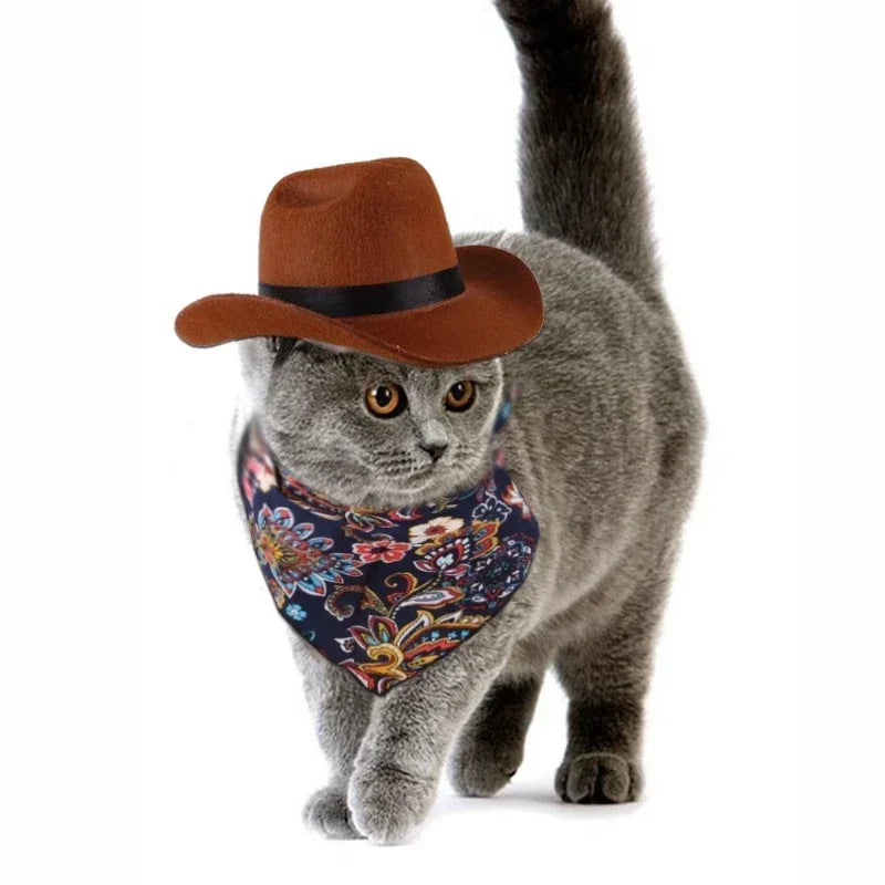 Chapeau de Costume de Cowboy pour Chiens et Chats