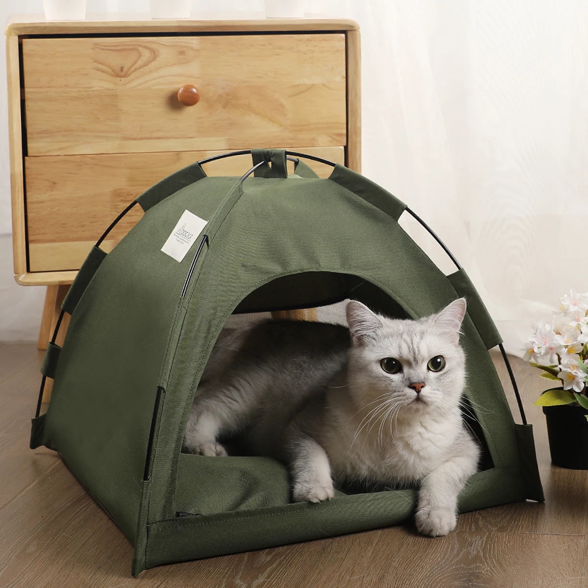 Tente pour Chat et chiens avec Coussin