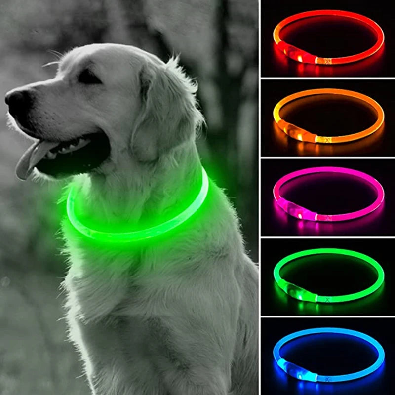 Collier LED Lumineux pour Chiens et Chats