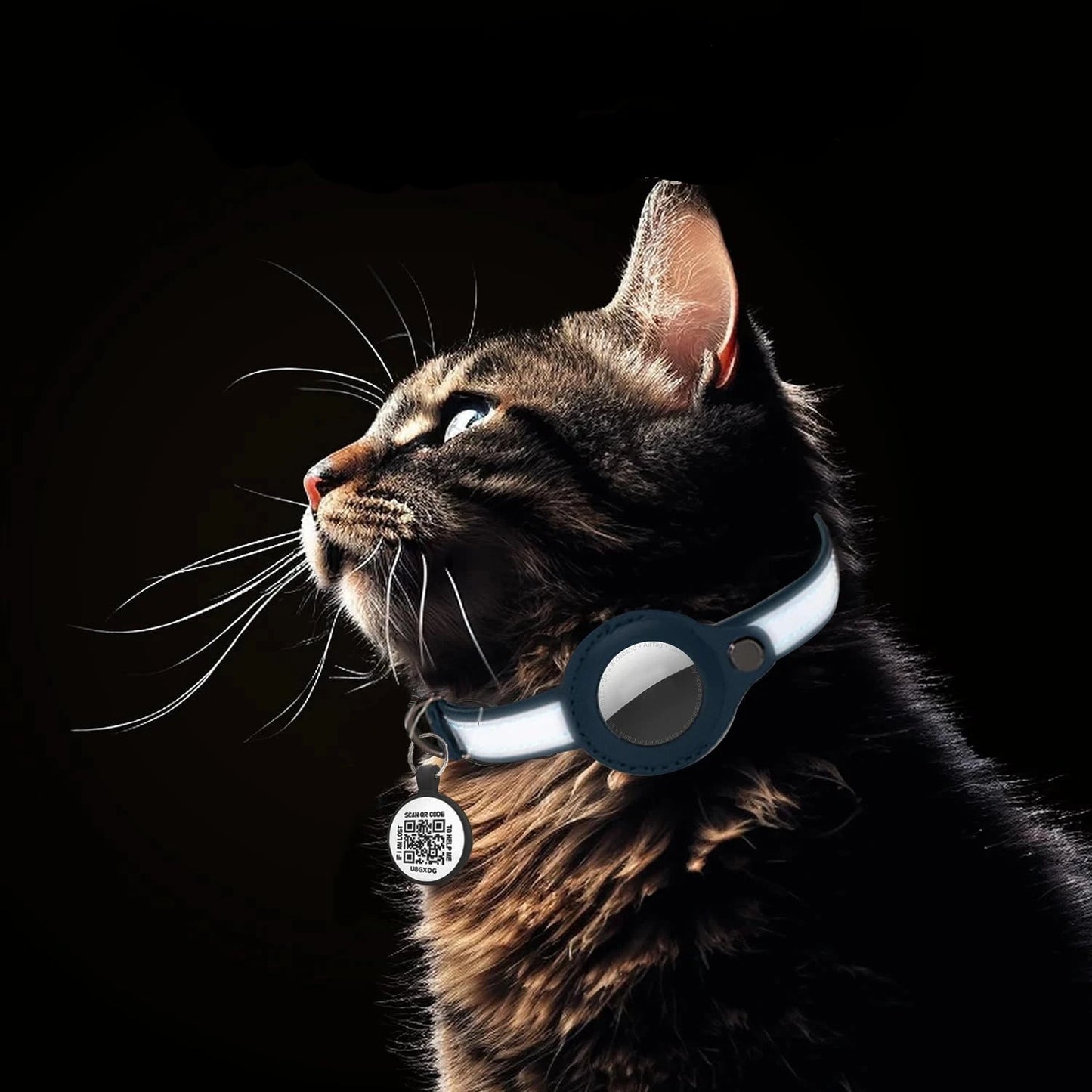 Collier pour Animaux Compatible avec Apple AirTag