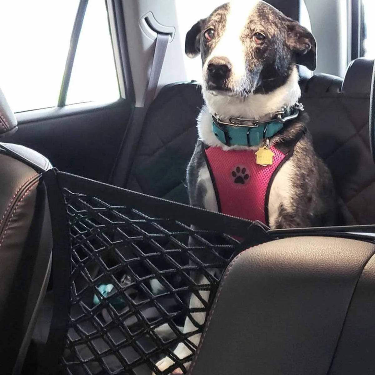 Grille de Protection pour Chien - Séparation Élastique pour Voiture