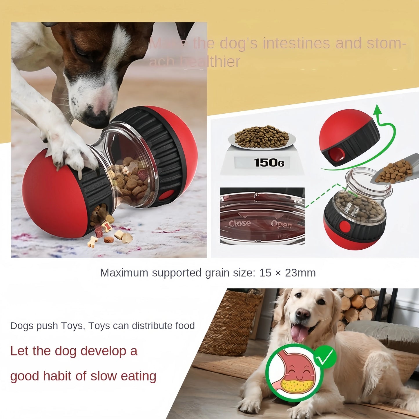 Jouet interactif pour chien et distributeur de nourriture