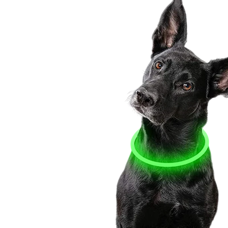 Collier LED Lumineux pour Chiens et Chats