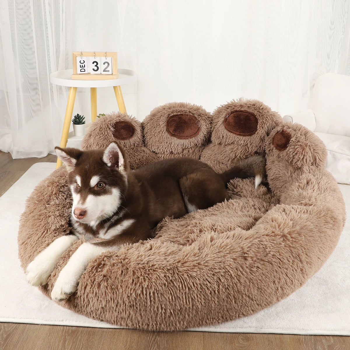 Canapé-Lit pour Chiens et Chats - Matelas Douillet et Lavable pour Animaux de Compagnie