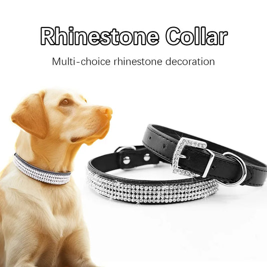 Collier pour Chien avec Boucle en Diamant et Strass Étincelants