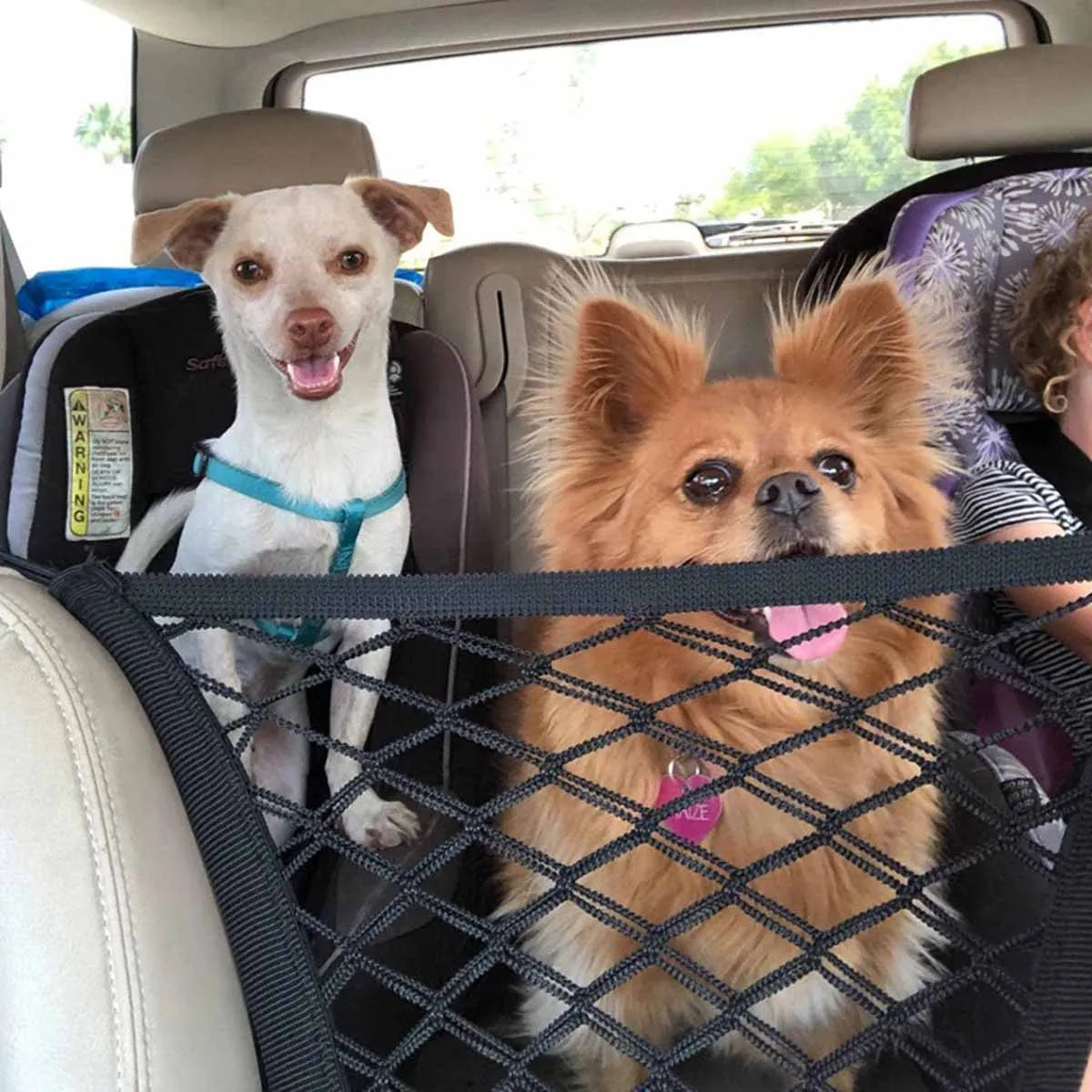 Grille de Protection pour Chien - Séparation Élastique pour Voiture