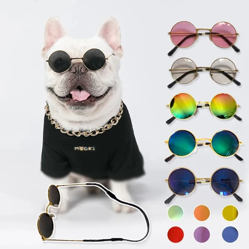 Lunettes Vintage pour Chats et Petits Chiens