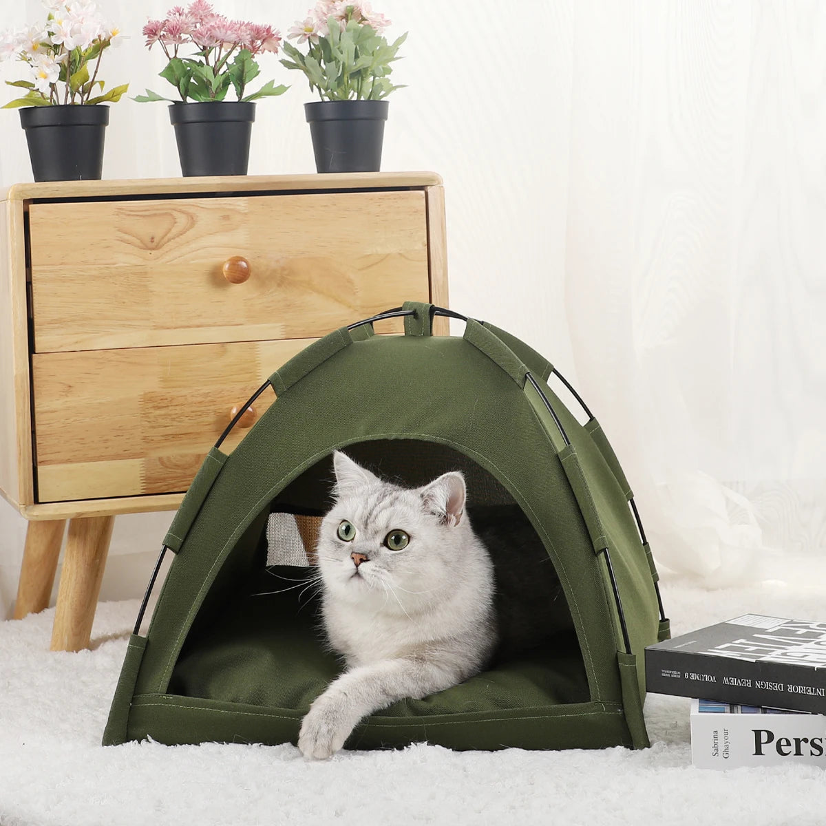 Tente pour Chat et chiens avec Coussin