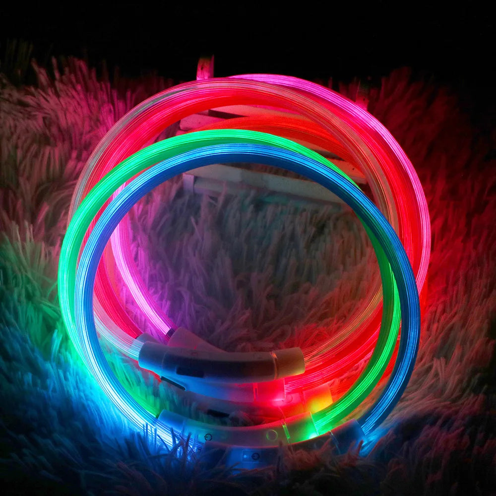 Collier LED Lumineux pour Chiens et Chats