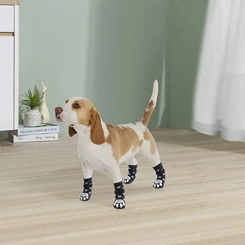 Chaussettes Antidérapantes pour Chiens - Protection et Confort pour Votre Compagnon