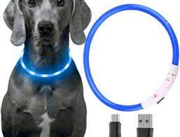 Collier LED Lumineux pour Chiens et Chats