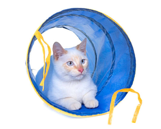 Tunnel Pliable pour Chat - Jouet Interactif et Amusant